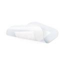 Cosmopor Transparent Film Dressing With Absorbent Pad, 10 cm x 30 cm, 25 Pieces / Box