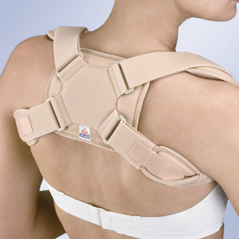 Orliman Clavical Support