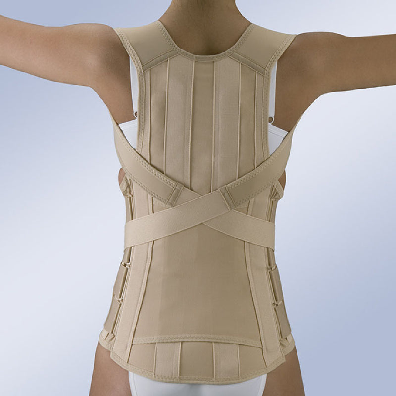 Orliman Dorso Lumbar Support, FX-213