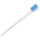 Medline Dentips Oral Swabs – Disposable Foam Oral Care Swabs