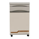 Paramount Bedside Cabinet H780 Table